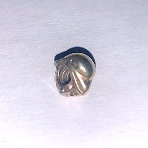 Pandora Charm